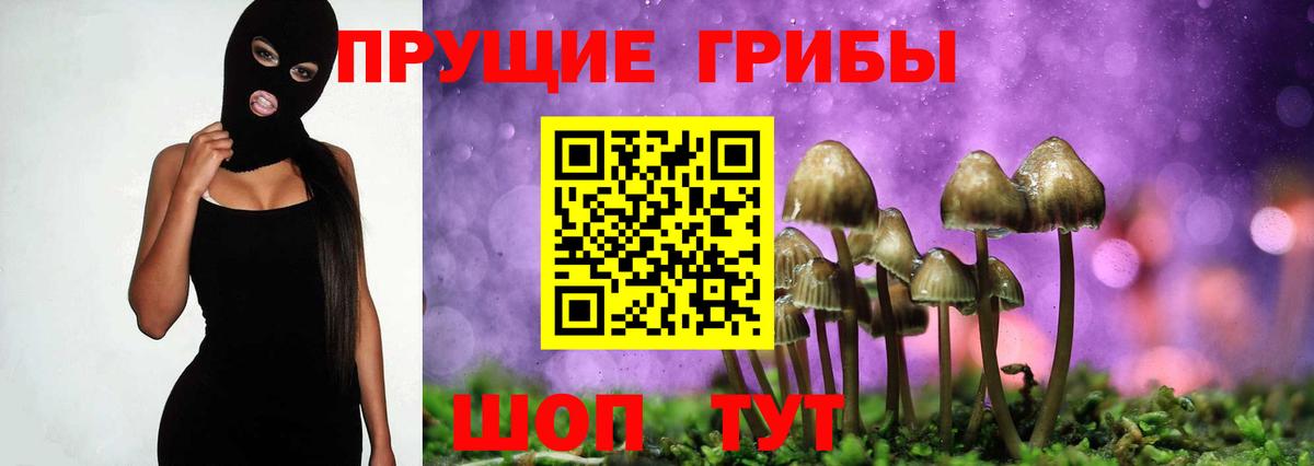 Псилоцибиновые грибы ЛСД Кинель
